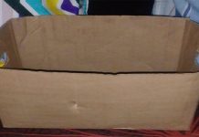 Cardboard box not as good as a kangaroo pouch. Photo by Godfrey Sigwela