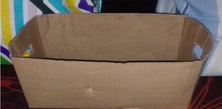 Cardboard box not as good as a kangaroo pouch. Photo by Godfrey Sigwela