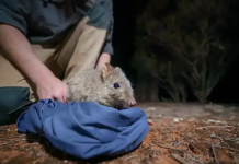 conservation havens