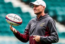 jacques nienaber springboks