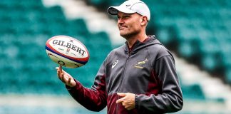 jacques nienaber springboks