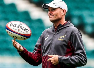 jacques nienaber springboks