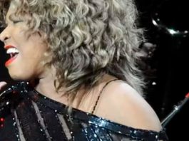 Tina Turner: the singer’s resilience and defiance were typical of a survivor of intimate partner abuse