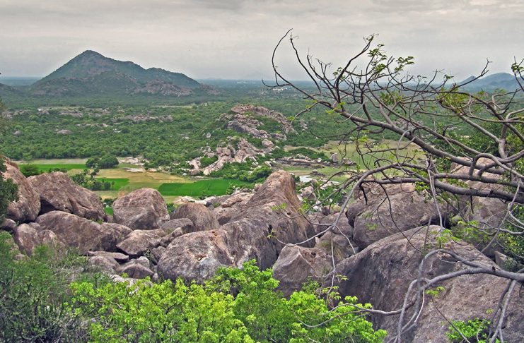 SA to mark World Environment Day