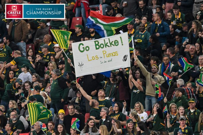 Springboks test Argentina