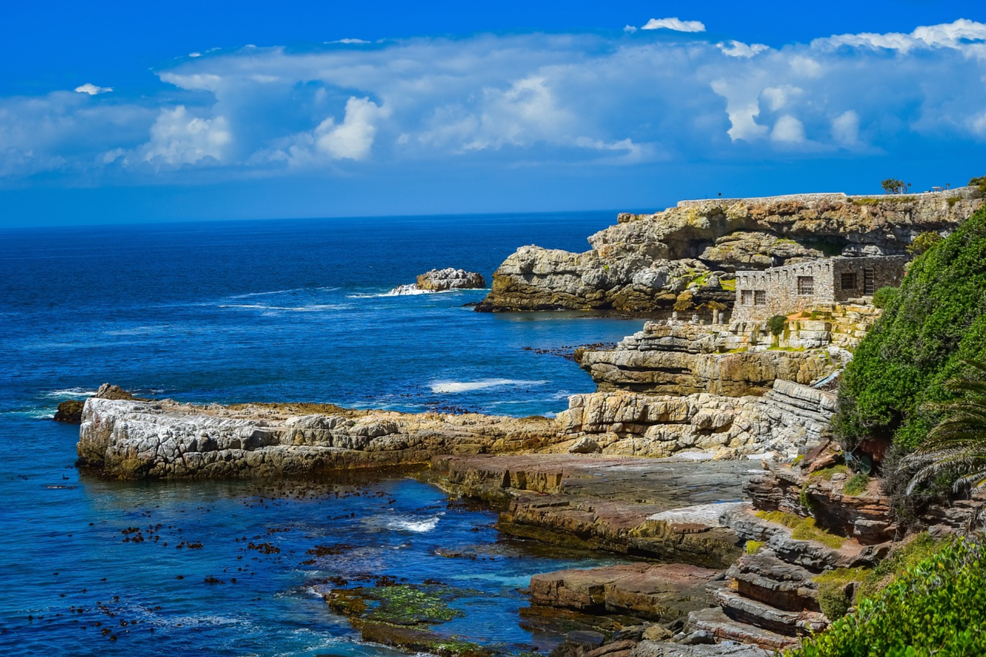 Hermanus heaven: Four things to do when you visit