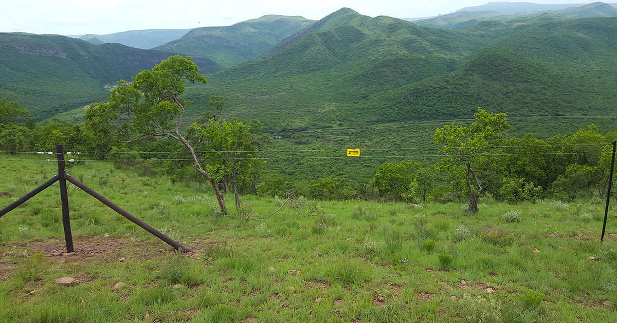 Unique project launched to help elephants and humans co-exist