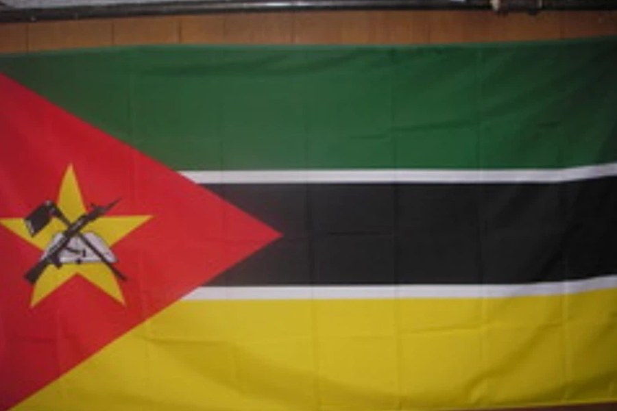 Mozambique ex-minister