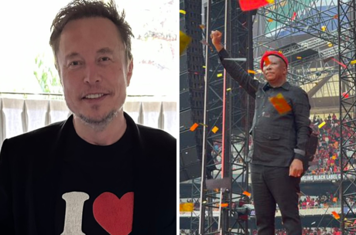 Julius Malema x Elon Musk