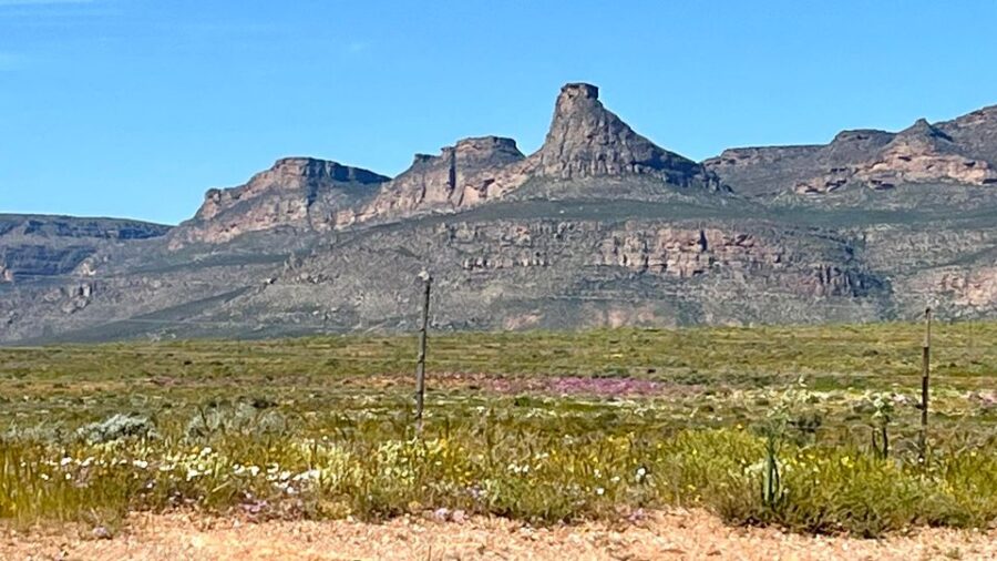 PHOTOS BY AGI ORFANOS. ROAD TRIP SOUTH AFRICA...