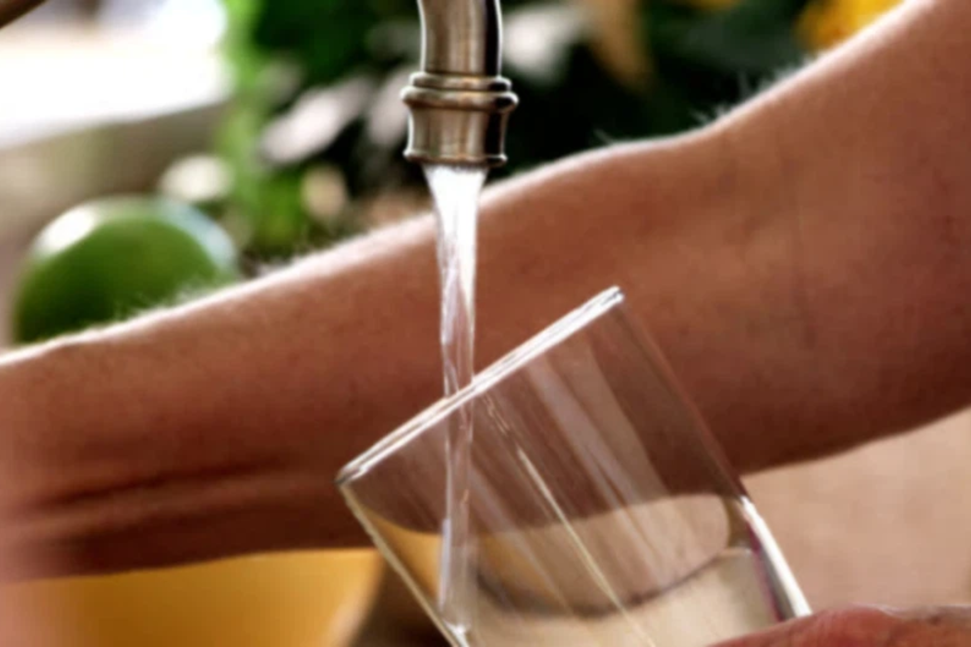 live fish from tap water