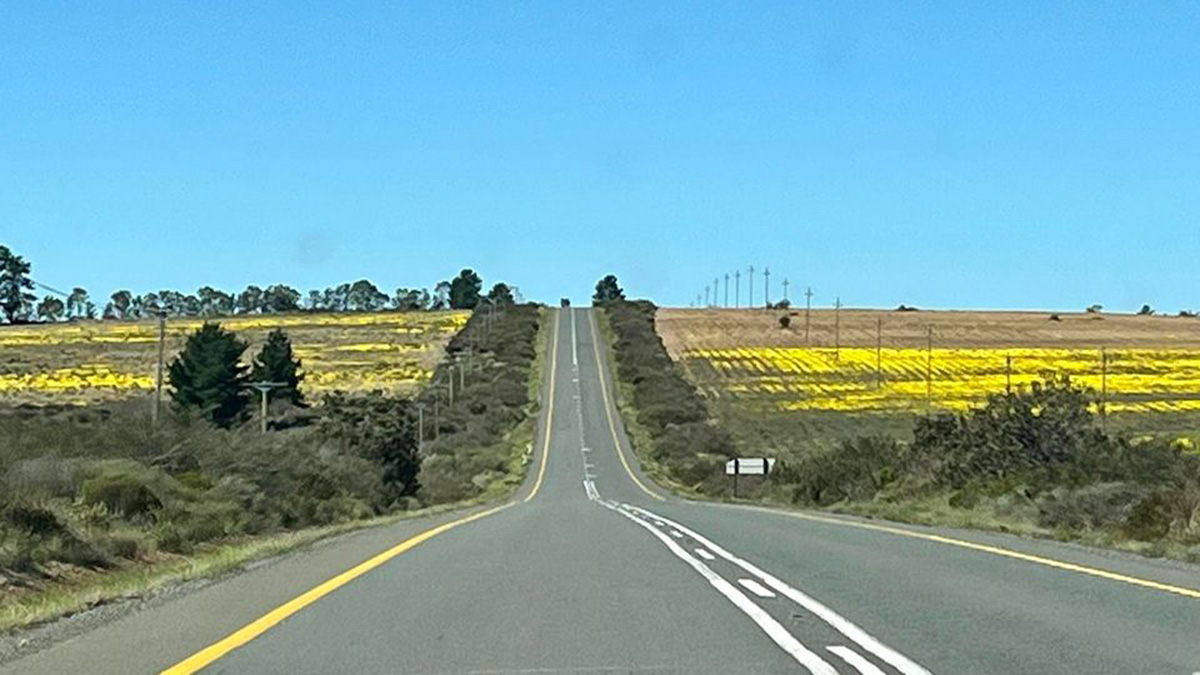 When last did you go on a road trip to South Africa?