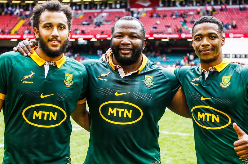 Springboks - Sharks