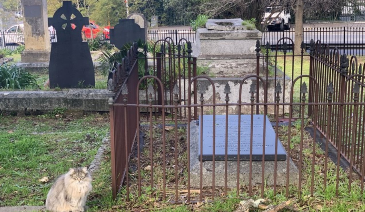 SA’s injury statistics are not accurate, experts warn