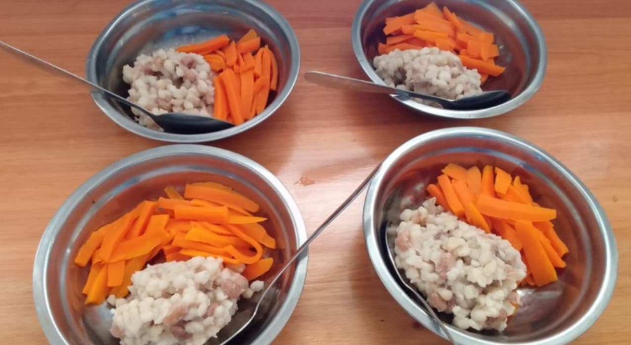 Children in the Eastern Cape are not being fed enough at school