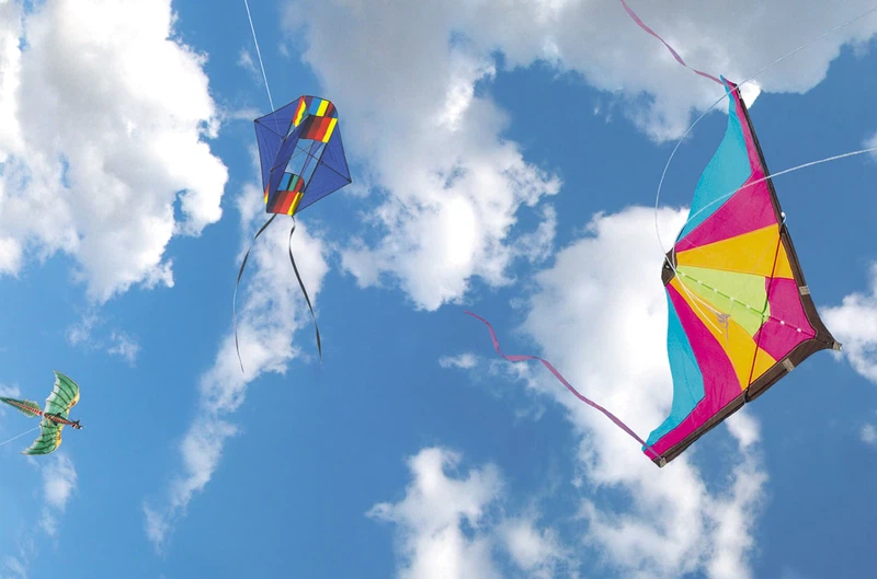Cape Town Kite Festival