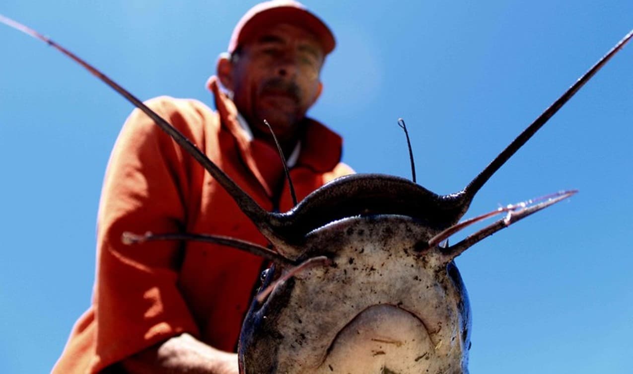 Fresh water fishers demand formal recognition of their livelihoods