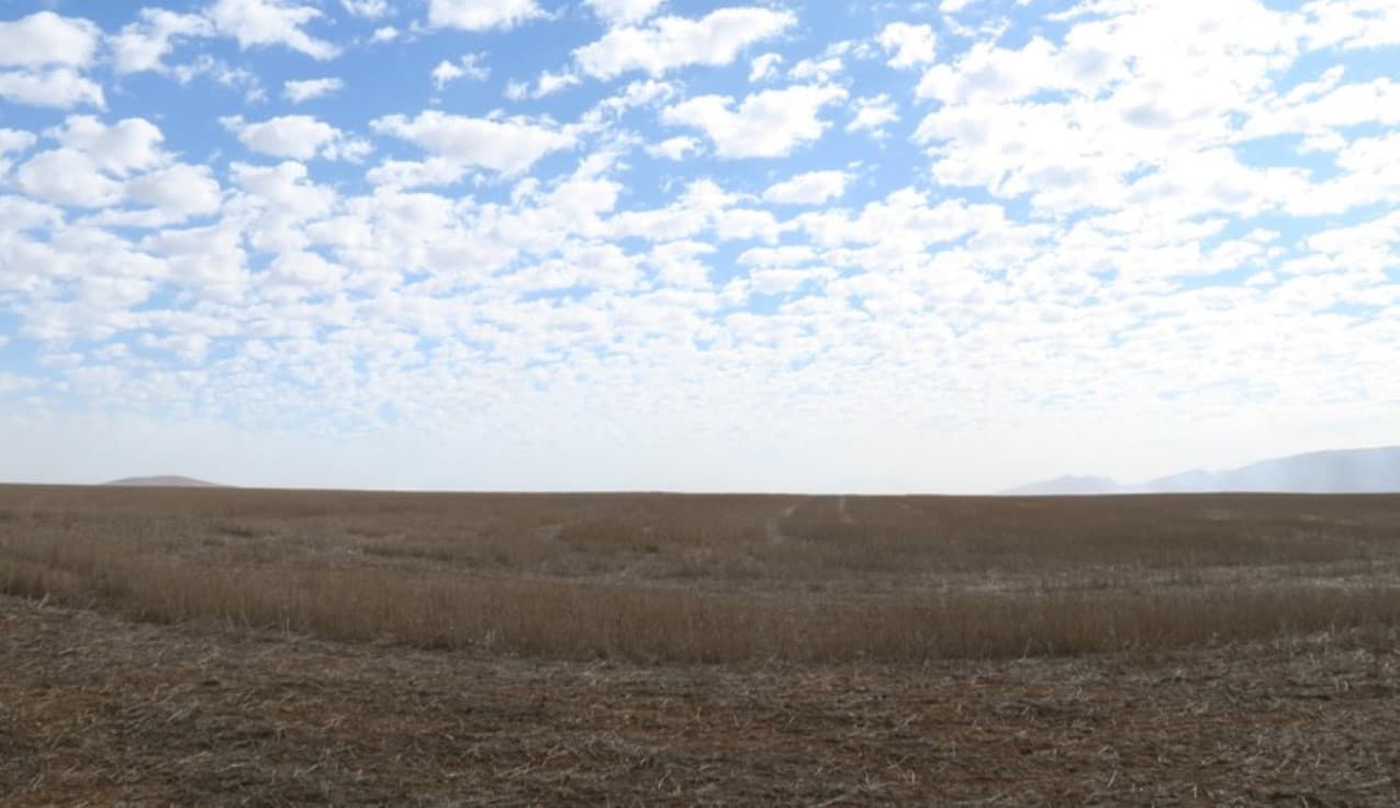 Farmers put on alert as El Niño takes effect