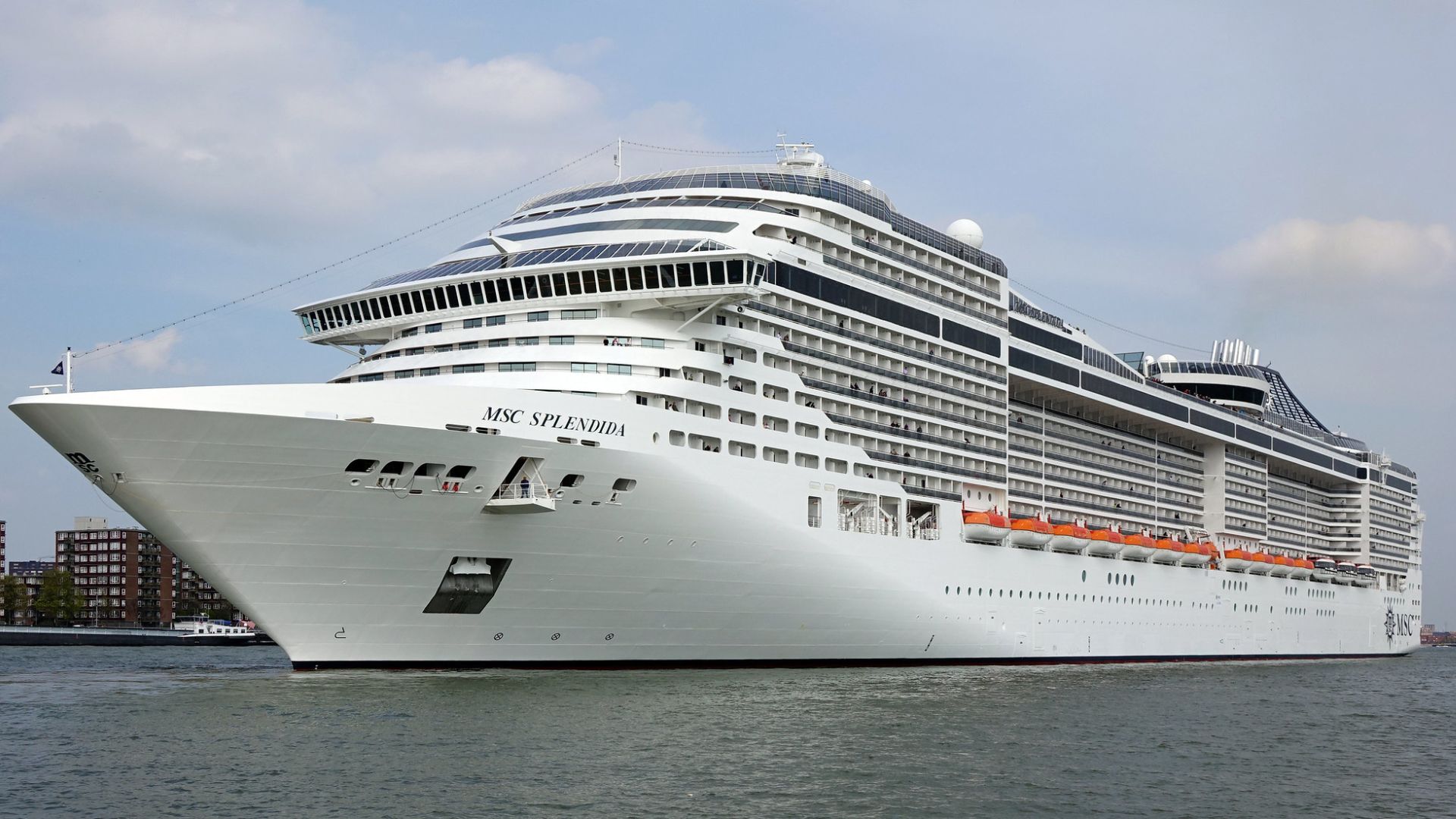 cruise ship stabbing