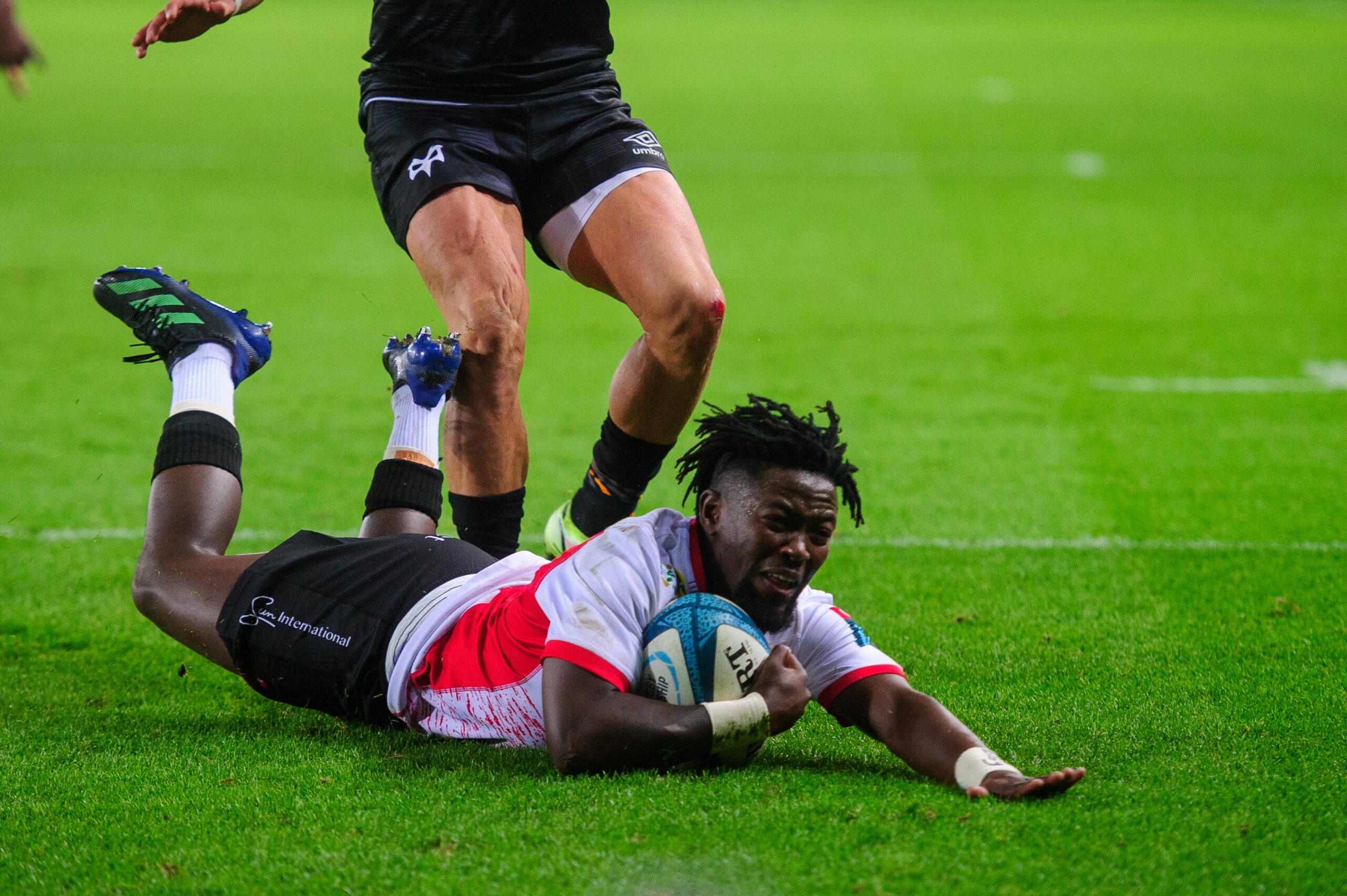 Springboks prospects Lions