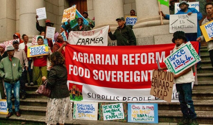 Small farmers celebrate victory outside Cape High Court