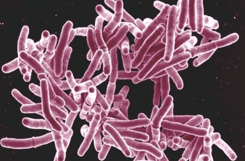 new tuberculosis drug