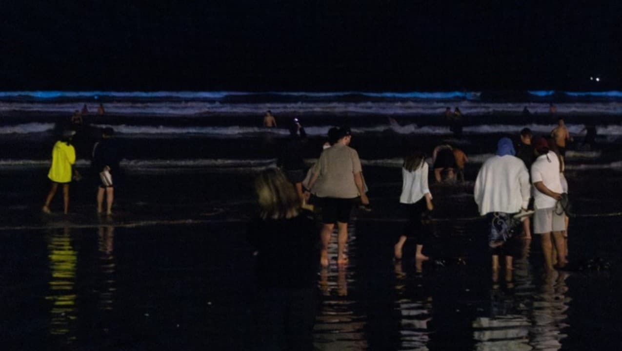 Beautiful bioluminescence at Muizenberg