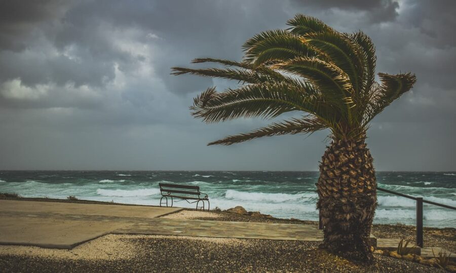 Weather forecast South Africa