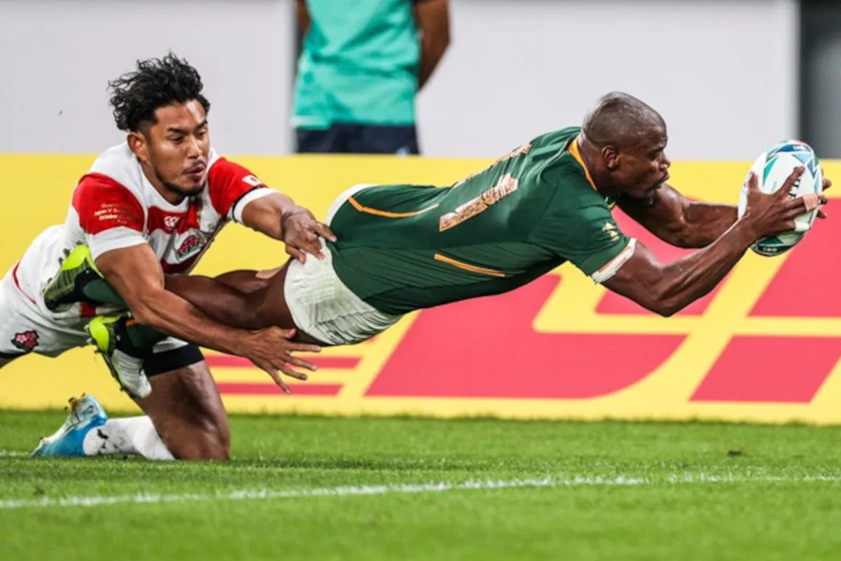 Springboks
