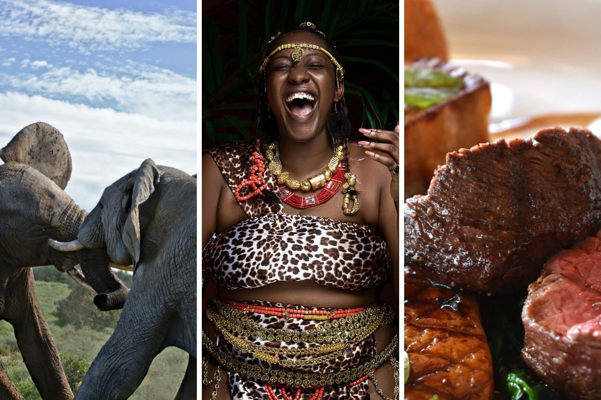 Travel to South Africa this holiday