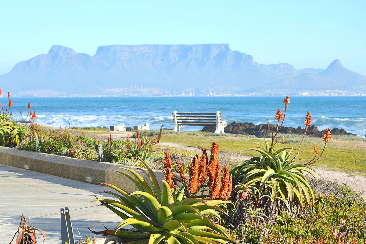 Table Mountain Cape Town