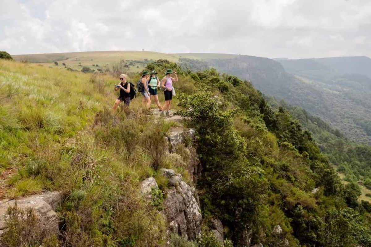 Discover the Kaapschehoop Klein Camino, a guided hike through Mpumalanga’s misty forests, wild horse country, and historic escarpment trails.