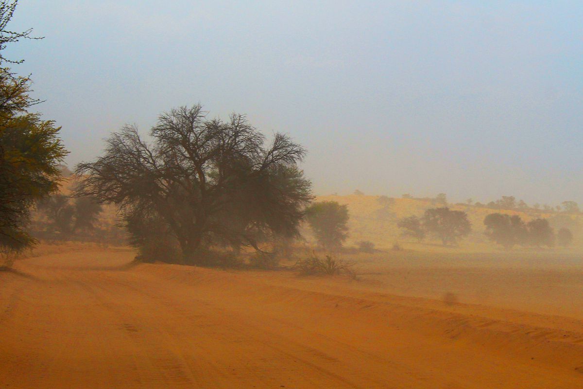 Water security in Southern Africa gets a major boost from the GEF