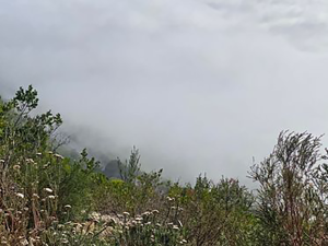 South africa weather forecast