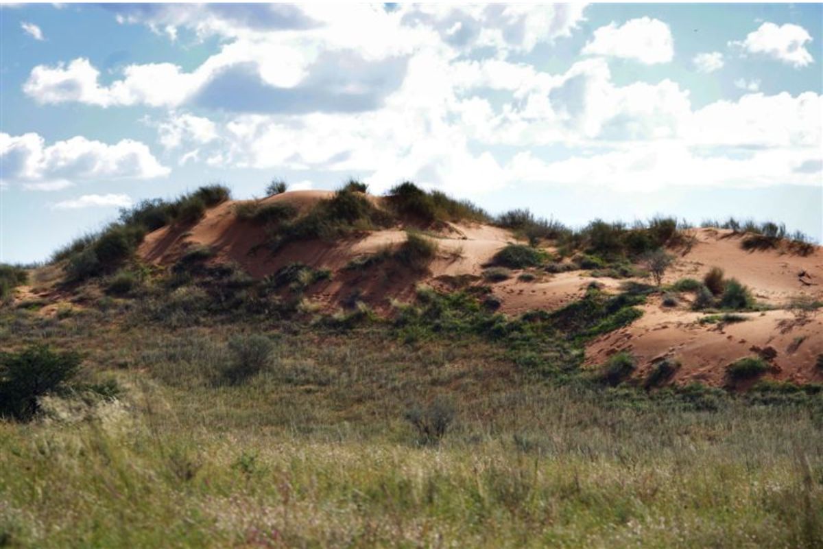 New funding will help Southern Africa fight desertification, restore land and protect livelihoods across the Kalahari and Namib Deserts.