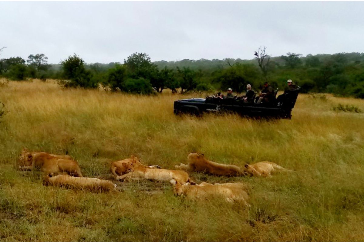 Tourism in SA is enjoying a strong 2026, with visitor numbers rising sharply and boosting jobs, travel and the wider economy.